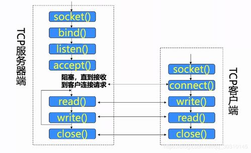 計算機網絡 socket編程