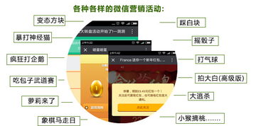 云亞爆炸式微信營(yíng)銷(xiāo)軟件 型號(hào)、功能與購(gòu)買(mǎi)指南