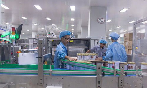 技術藍海下的代際抉擇 追夢工廠還是穿梭街頭？